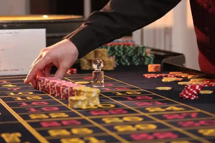 sunbet live