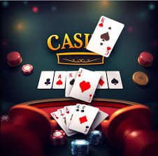 sunbet live