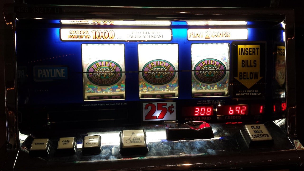 sunbet live