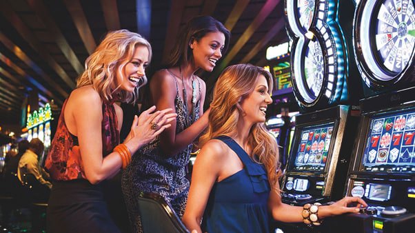 sunbet live